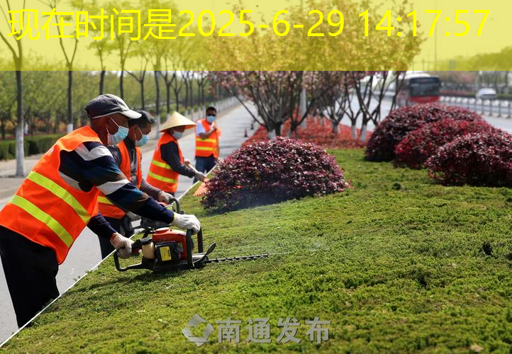 绿化工程清表后该做什么