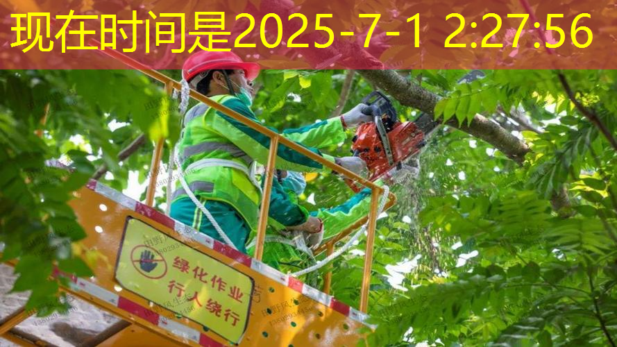 肇庆绿化工程验收
