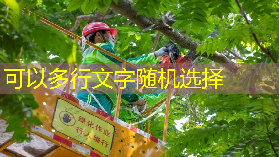 新手能不能做绿化工程项目