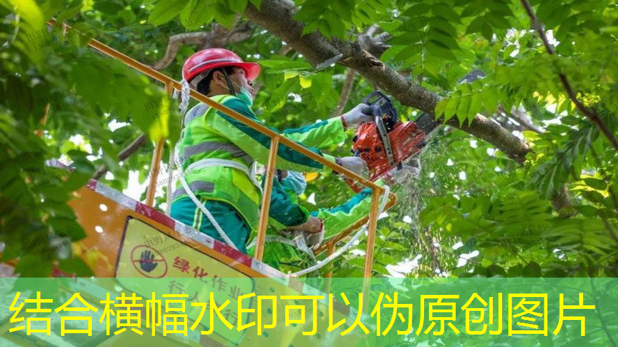 做园林绿化工程需要什么证件