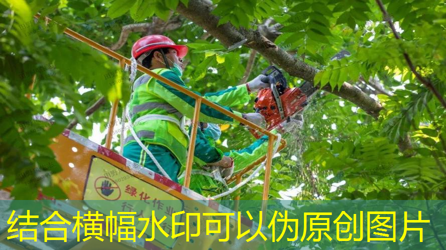 山坡矿山绿化工程施工方案