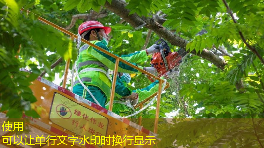 台州园林绿化工程招投标