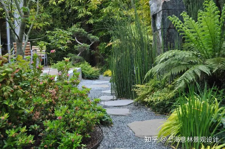 张家港绿化草皮基地
