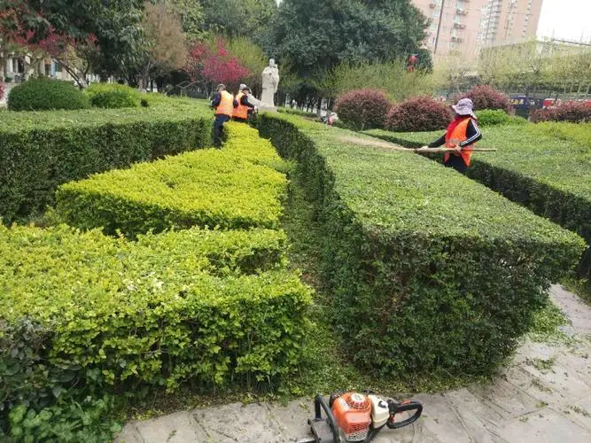 办公园林景观设计规划
