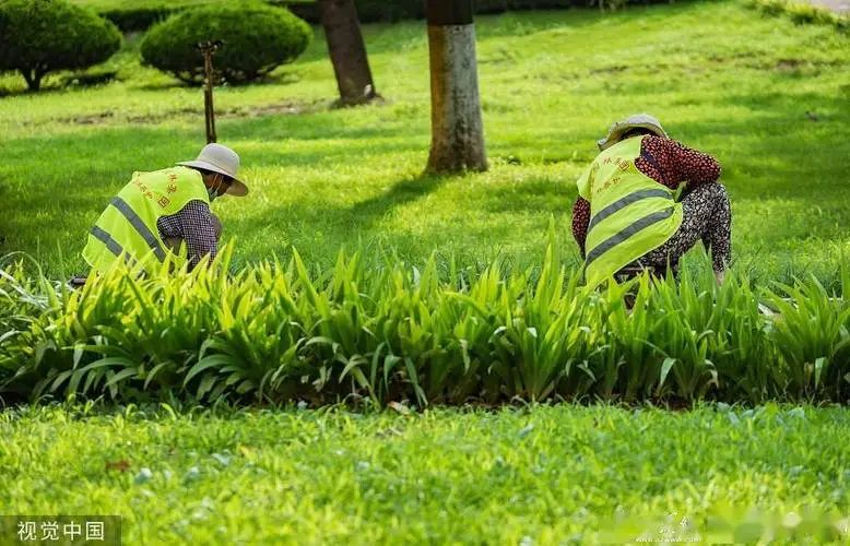 现代化城市园林景观设计
