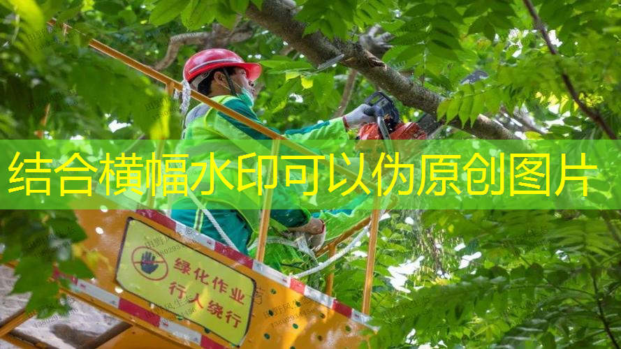 园林管理亟待解决的拦路虎：资金短缺、维护力度不足！