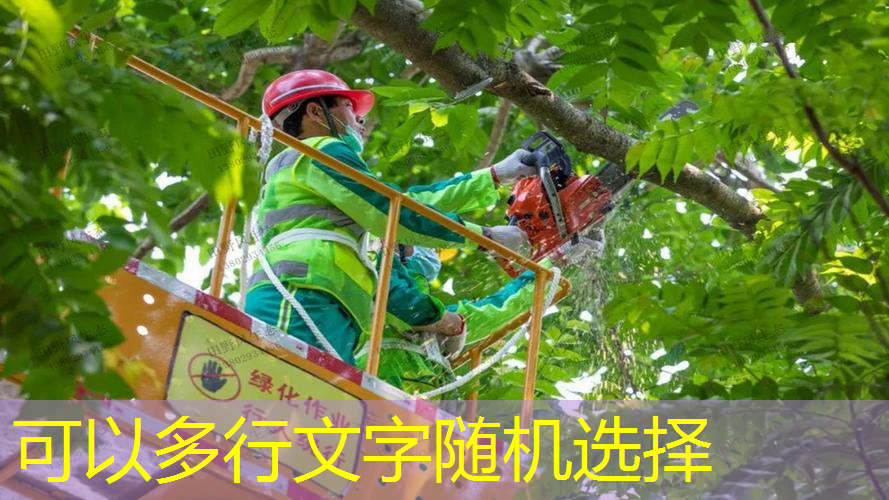 1初识园林景观设计