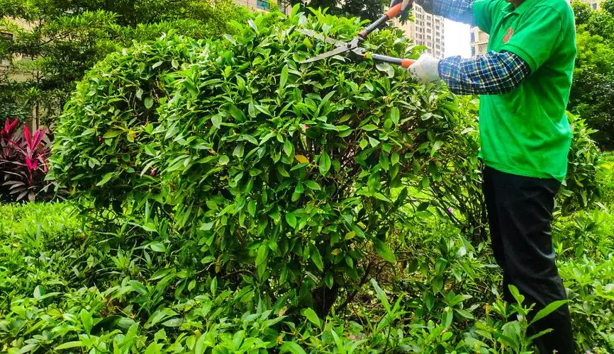 江西园林绿化工程服务