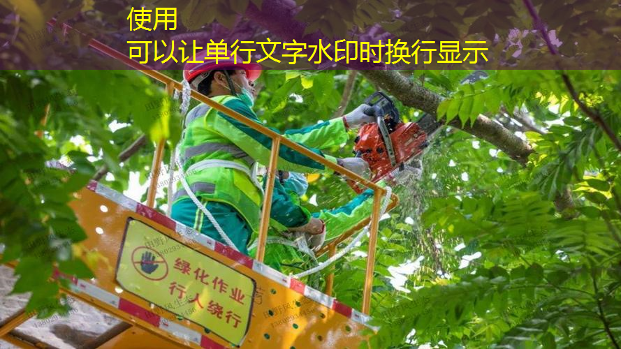 园区怎么做绿化工程项目