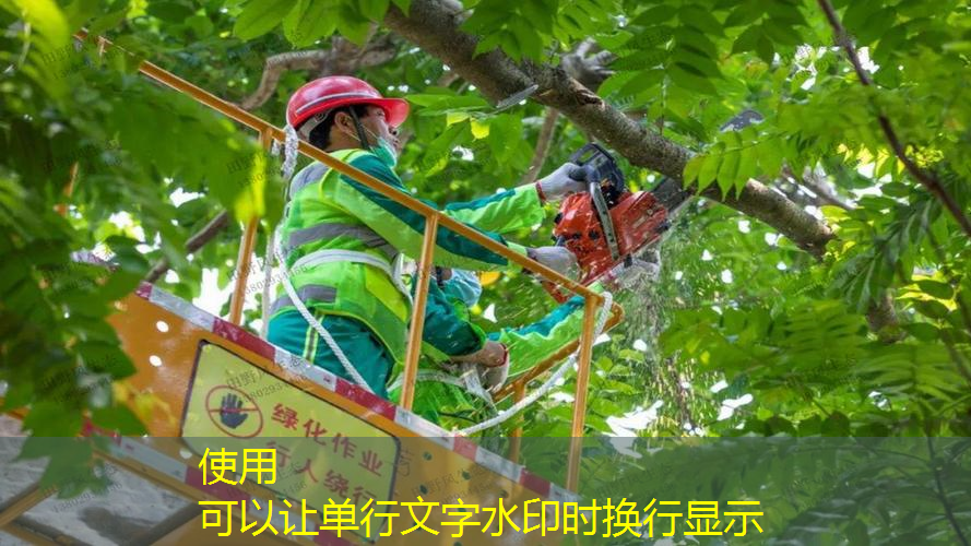 衡阳园林绿化工程承包项目